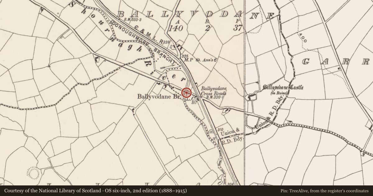 Ordnance Survey six-inch map, 2nd edition (1888–1915) covering the location of Bridge, Ballyvodane, County Cork, with a pin at the register's coordinates