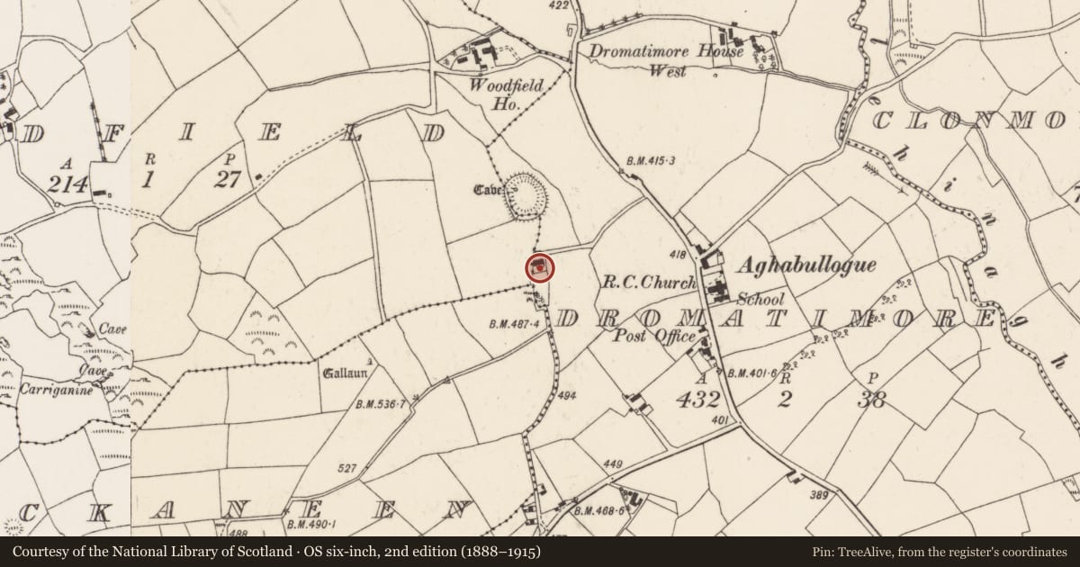 Ordnance Survey six-inch map, 2nd edition (1888–1915) covering the location of Church, Dromatimore, County Cork, with a pin at the register's coordinates