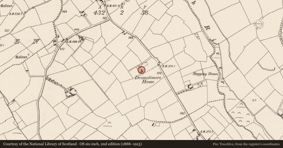 Ordnance Survey six-inch map, 2nd edition (1888–1915) covering the location of Country house, Dromatimore, County Cork, with a pin at the register's coordinates
