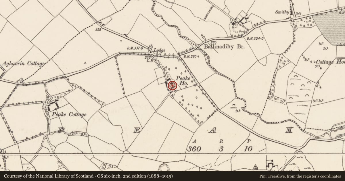 Ordnance Survey six-inch map, 2nd edition (1888–1915) covering the location of Country house, Peake, County Cork, with a pin at the register's coordinates