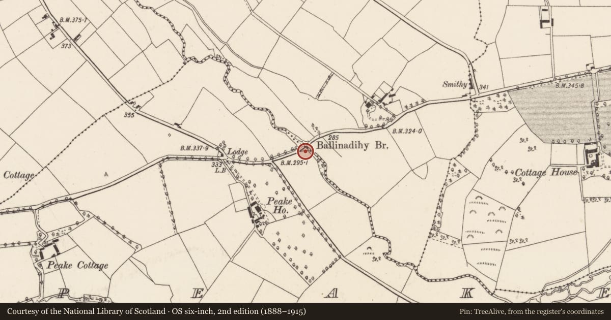 Ordnance Survey six-inch map, 2nd edition (1888–1915) covering the location of Bridge, Clonmoyle West, Peake, County Cork, with a pin at the register's coordinates