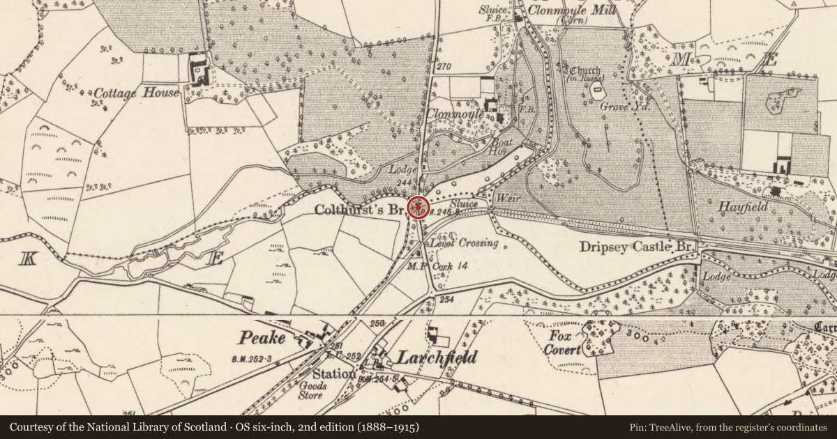 Ordnance Survey six-inch map, 2nd edition (1888–1915) covering the location of Bridge, County Cork, with a pin at the register's coordinates