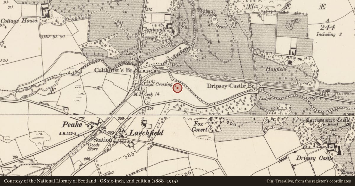 Ordnance Survey six-inch map, 2nd edition (1888–1915) covering the location of Designed landscape - belvedere, Carrignamuck, County Cork, with a pin at the register's coordinates
