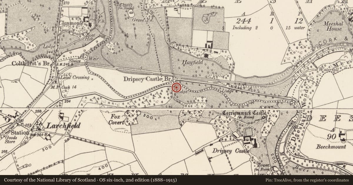 Ordnance Survey six-inch map, 2nd edition (1888–1915) covering the location of Designed landscape - belvedere, Carrignamuck, County Cork, with a pin at the register's coordinates