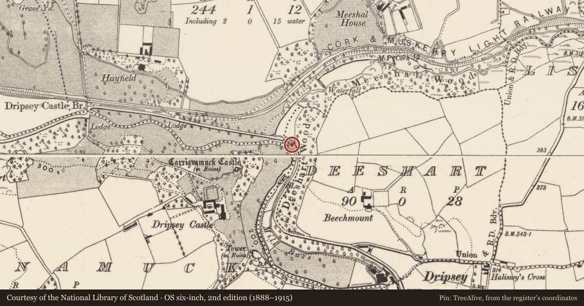 Ordnance Survey six-inch map, 2nd edition (1888–1915) covering the location of Designed landscape - belvedere, Deeshart, County Cork, with a pin at the register's coordinates
