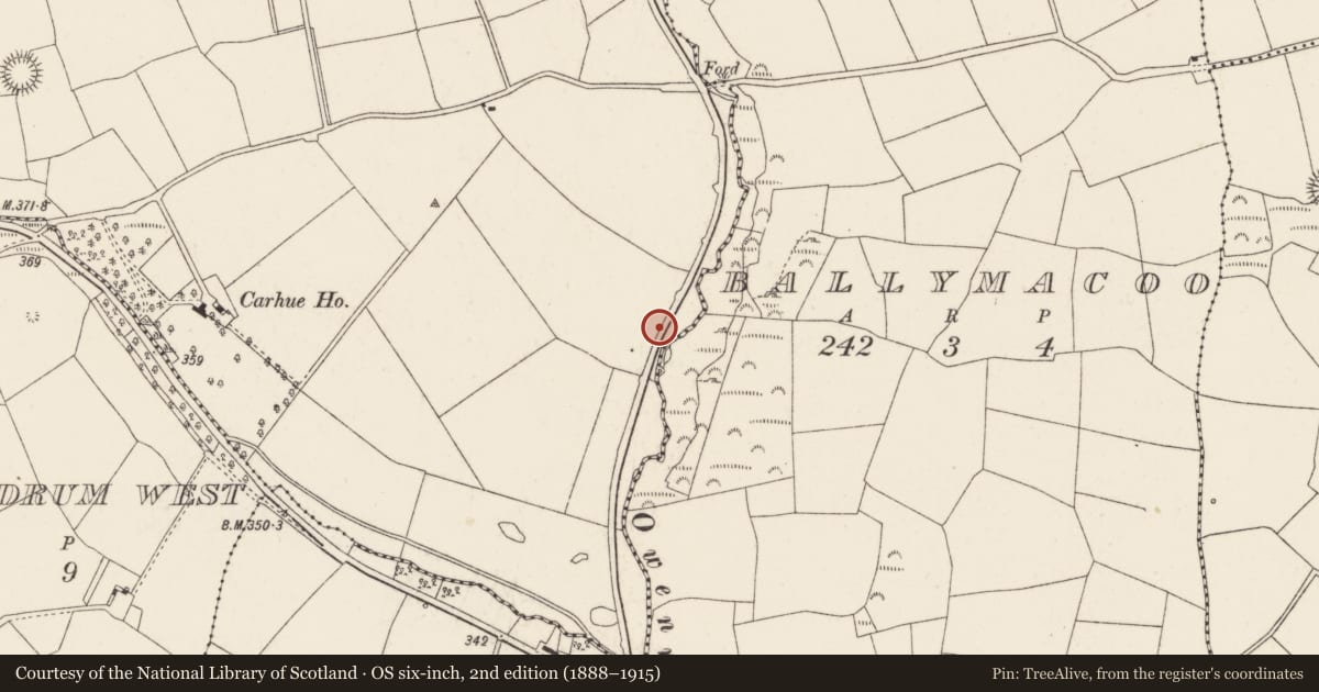 Ordnance Survey six-inch map, 2nd edition (1888–1915) covering the location of Ritual site - holy well, Carhue, County Cork, with a pin at the register's coordinates