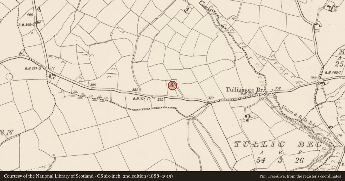 Ordnance Survey six-inch map, 2nd edition (1888–1915) covering the location of Souterrain, Tullig More, County Cork, with a pin at the register's coordinates