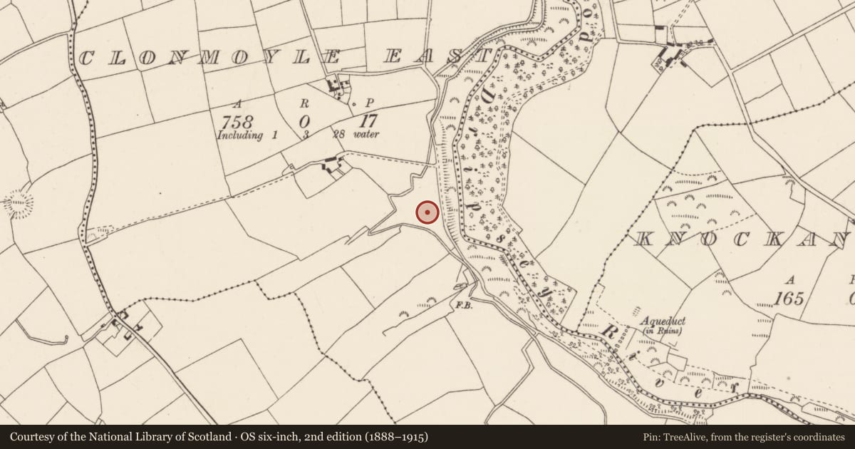 Ordnance Survey six-inch map, 2nd edition (1888–1915) covering the location of Fulacht fia, Clonmoyle East, County Cork, with a pin at the register's coordinates