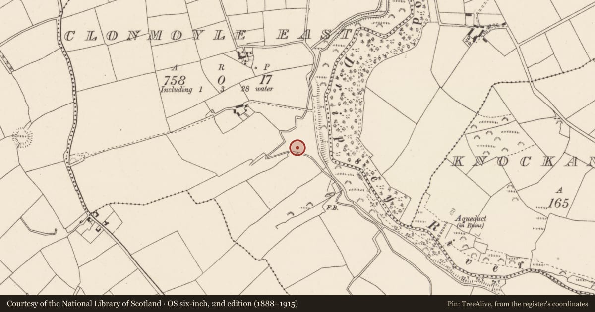 Ordnance Survey six-inch map, 2nd edition (1888–1915) covering the location of Burnt mound, Clonmoyle East, County Cork, with a pin at the register's coordinates
