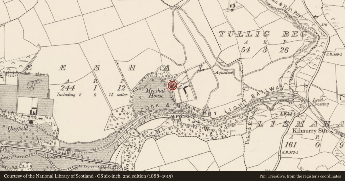 Ordnance Survey six-inch map, 2nd edition (1888–1915) covering the location of Country house, Meeshal, County Cork, with a pin at the register's coordinates