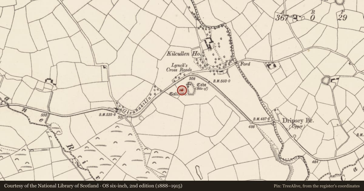 Ordnance Survey six-inch map, 2nd edition (1888–1915) covering the location of Ogham stone, Kilcullen South, County Cork, with a pin at the register's coordinates