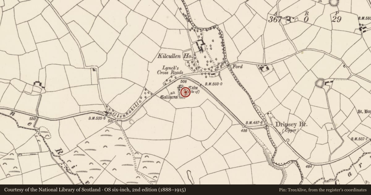 Ordnance Survey six-inch map, 2nd edition (1888–1915) covering the location of Ecclesiastical enclosure, Kilcullen South, County Cork, with a pin at the register's coordinates