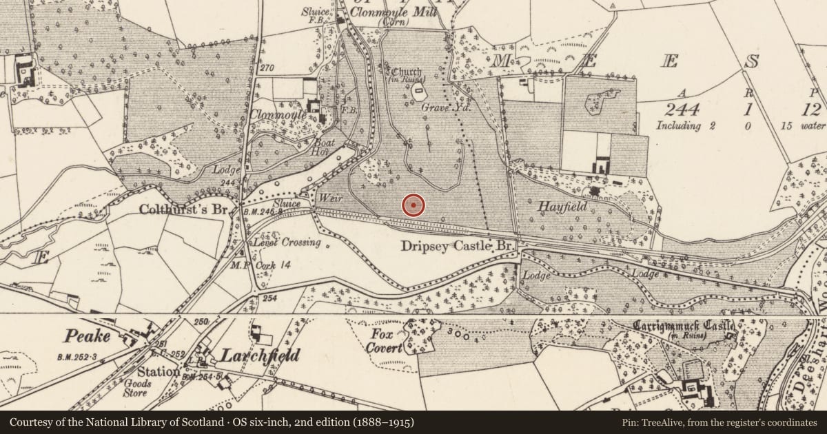 Ordnance Survey six-inch map, 2nd edition (1888–1915) covering the location of Fulacht fia, Kilcolman, County Cork, with a pin at the register's coordinates