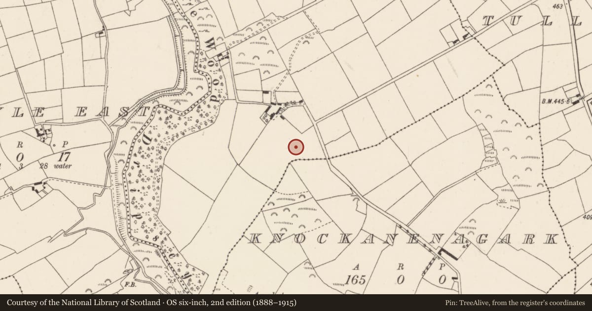 Ordnance Survey six-inch map, 2nd edition (1888–1915) covering the location of Enclosure, Oldcastle, County Cork, with a pin at the register's coordinates
