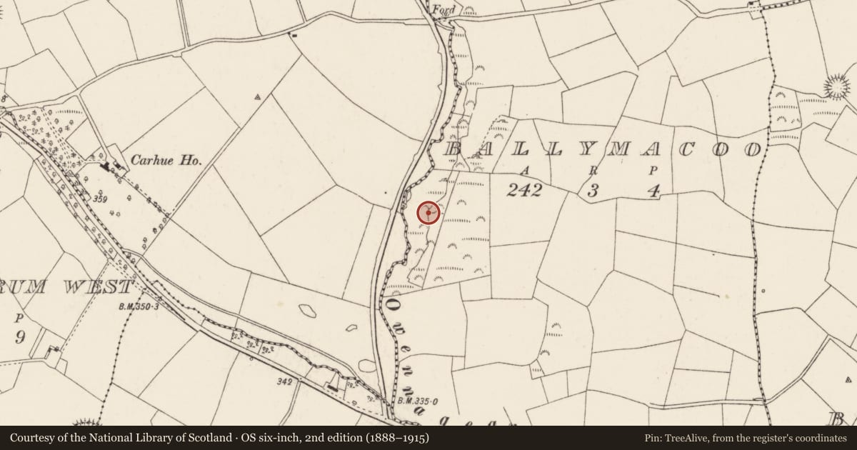Ordnance Survey six-inch map, 2nd edition (1888–1915) covering the location of Ecclesiastical site, Ballymacoo, County Cork, with a pin at the register's coordinates