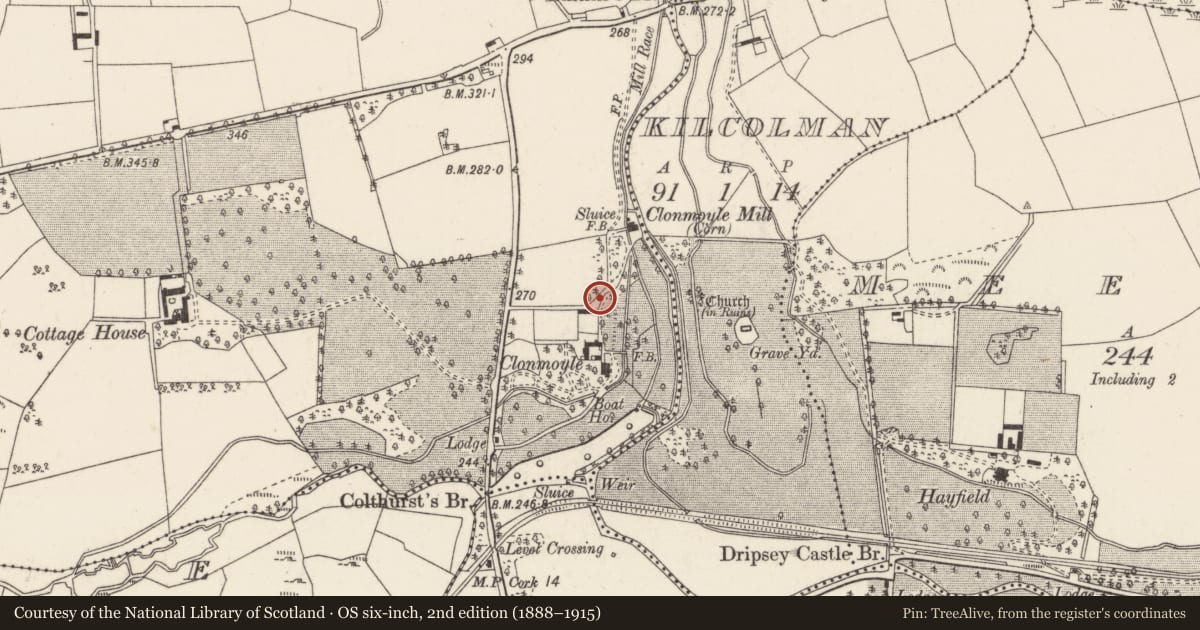 Ordnance Survey six-inch map, 2nd edition (1888–1915) covering the location of Burnt spread, Clonmoyle East, County Cork, with a pin at the register's coordinates