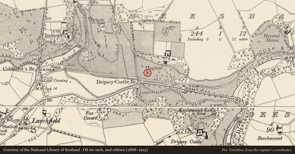 Ordnance Survey six-inch map, 2nd edition (1888–1915) covering the location of Burnt spread, Meeshal, County Cork, with a pin at the register's coordinates