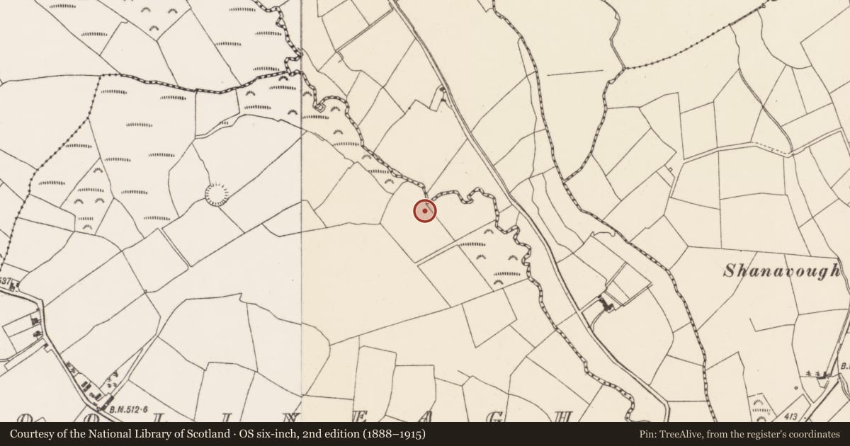 Ordnance Survey six-inch map, 2nd edition (1888–1915) covering the location of Water mill - unclassified, Coolineagh, County Cork, with a pin at the register's coordinates