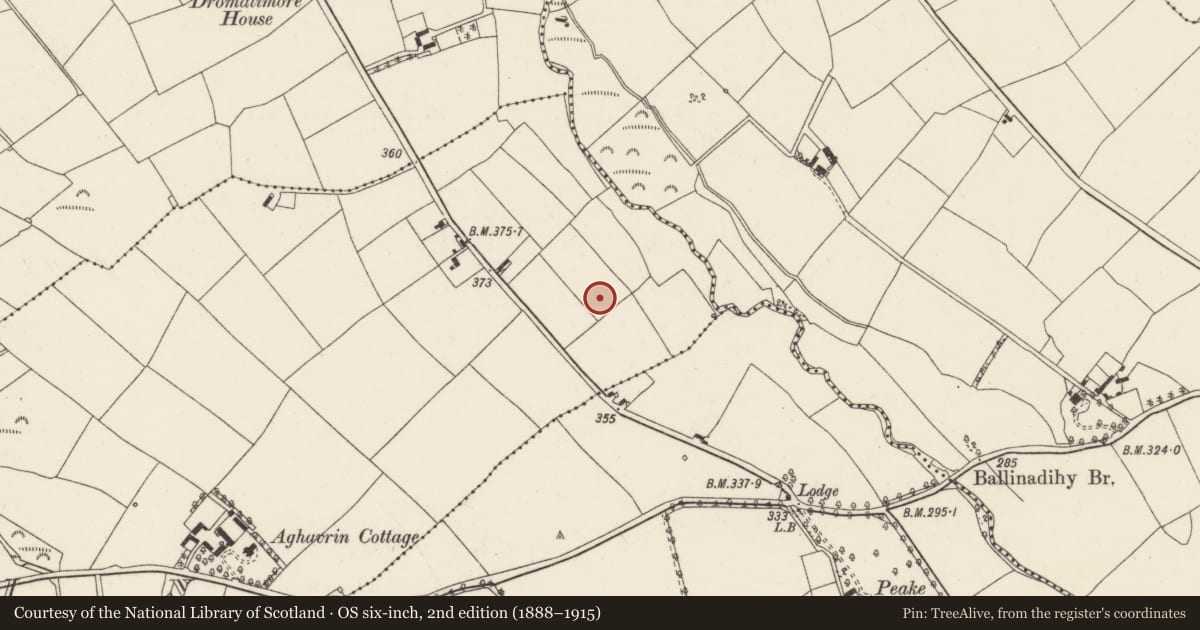 Ordnance Survey six-inch map, 2nd edition (1888–1915) covering the location of Burnt spread, Aghavrin, County Cork, with a pin at the register's coordinates
