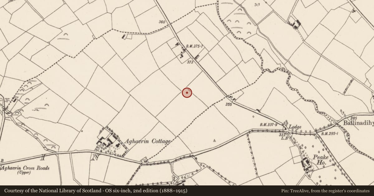 Ordnance Survey six-inch map, 2nd edition (1888–1915) covering the location of Burnt spread, Aghavrin, County Cork, with a pin at the register's coordinates
