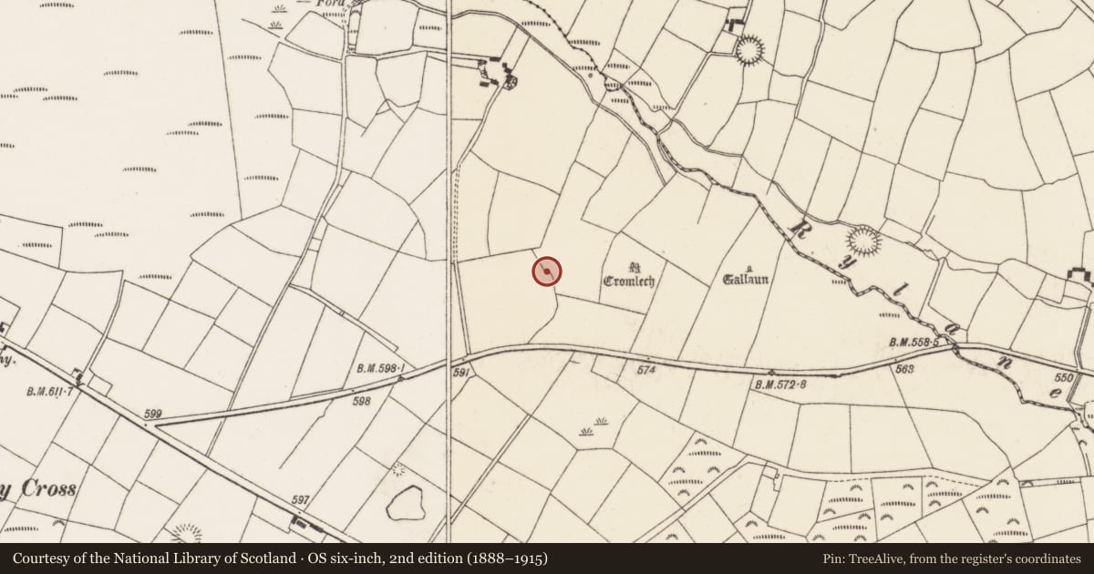 Ordnance Survey six-inch map, 2nd edition (1888–1915) covering the location of Enclosure, Rylane, County Cork, with a pin at the register's coordinates
