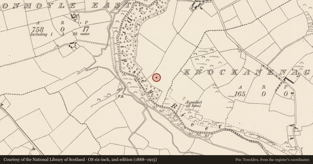 Ordnance Survey six-inch map, 2nd edition (1888–1915) covering the location of Souterrain, Oldcastle, County Cork, with a pin at the register's coordinates