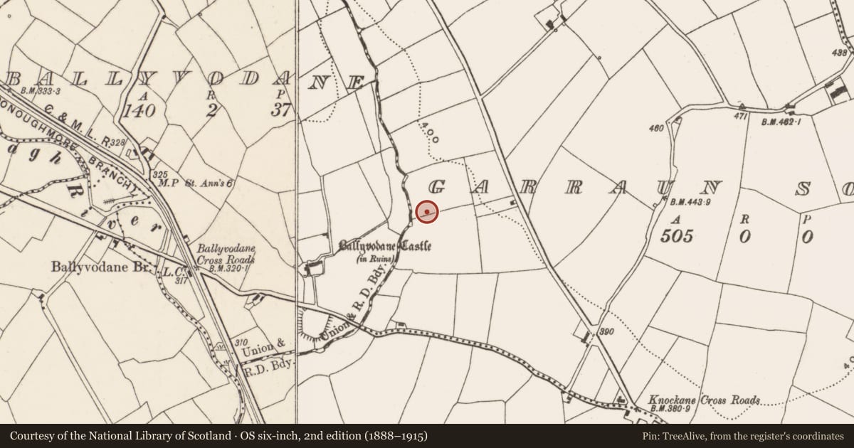 Ordnance Survey six-inch map, 2nd edition (1888–1915) covering the location of Standing stone, Garraun South, County Cork, with a pin at the register's coordinates
