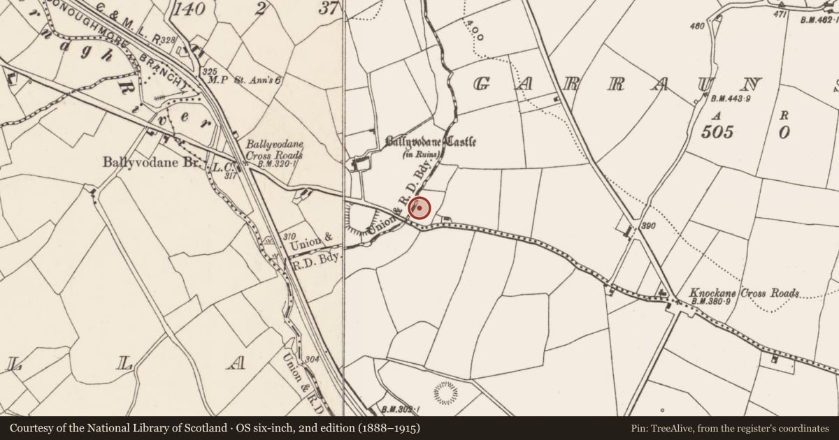 Ordnance Survey six-inch map, 2nd edition (1888–1915) covering the location of Fulacht fia, Garraun South, County Cork, with a pin at the register's coordinates