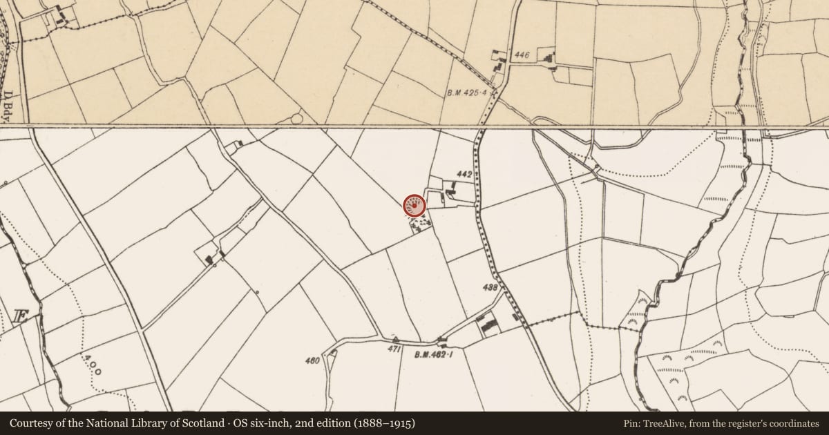 Ordnance Survey six-inch map, 2nd edition (1888–1915) covering the location of Ringfort - rath, Garraun South, County Cork, with a pin at the register's coordinates