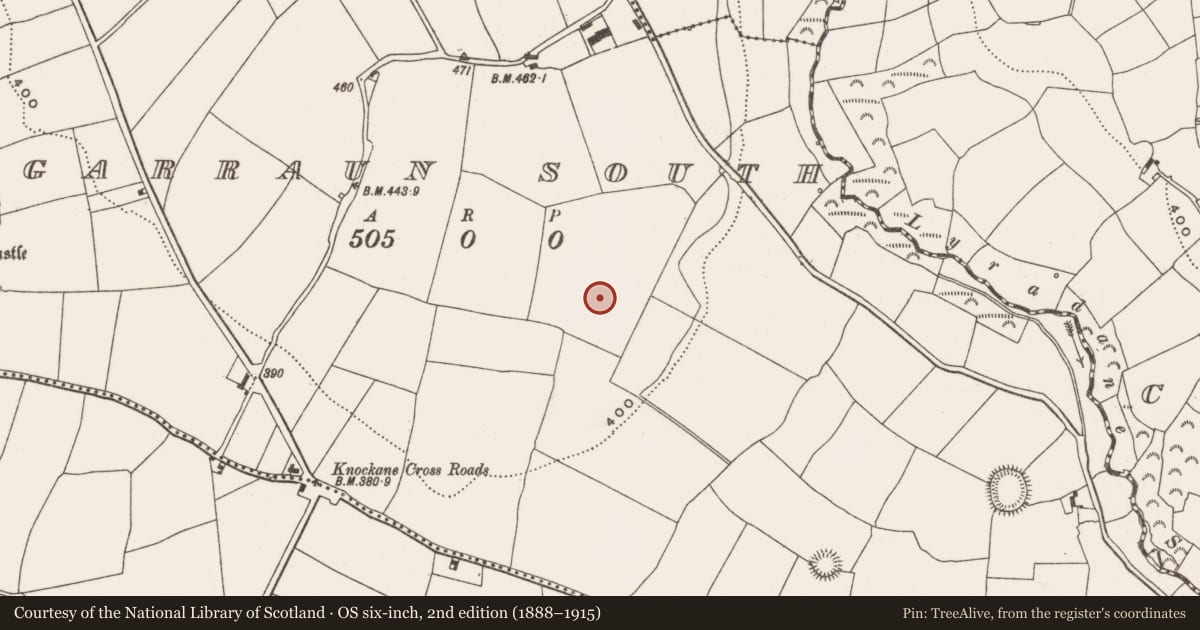 Ordnance Survey six-inch map, 2nd edition (1888–1915) covering the location of Ringfort - rath, Garraun South, County Cork, with a pin at the register's coordinates