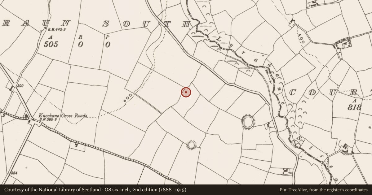 Ordnance Survey six-inch map, 2nd edition (1888–1915) covering the location of Standing stone, Garraun South, County Cork, with a pin at the register's coordinates
