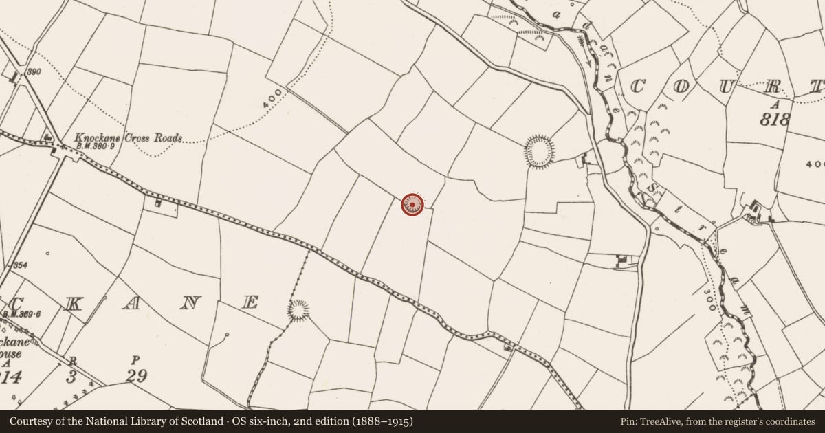 Ordnance Survey six-inch map, 2nd edition (1888–1915) covering the location of Ringfort - rath, Garraun South, County Cork, with a pin at the register's coordinates
