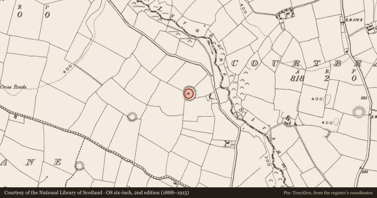 Ordnance Survey six-inch map, 2nd edition (1888–1915) covering the location of Ringfort - rath, Garraun South, County Cork, with a pin at the register's coordinates