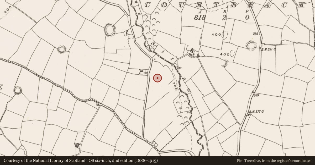 Ordnance Survey six-inch map, 2nd edition (1888–1915) covering the location of Ringfort - rath, Garraun South, County Cork, with a pin at the register's coordinates