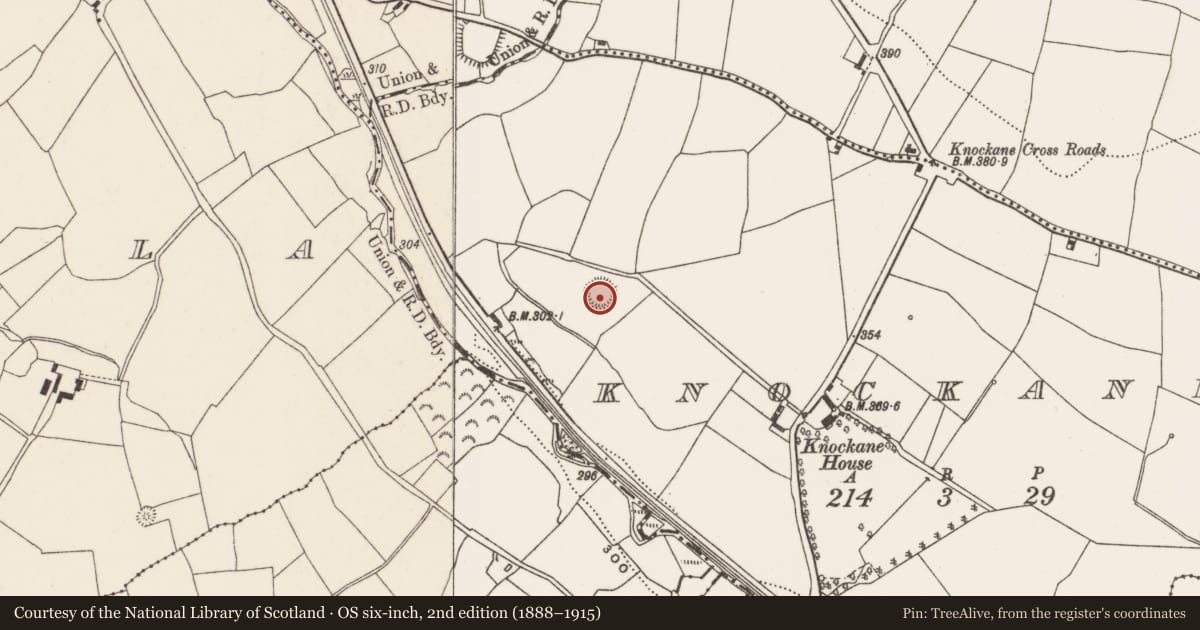 Ordnance Survey six-inch map, 2nd edition (1888–1915) covering the location of Ringfort - rath, Knockane, County Cork, with a pin at the register's coordinates