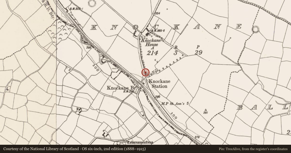 Ordnance Survey six-inch map, 2nd edition (1888–1915) covering the location of Kiln - lime, Knockane, County Cork, with a pin at the register's coordinates