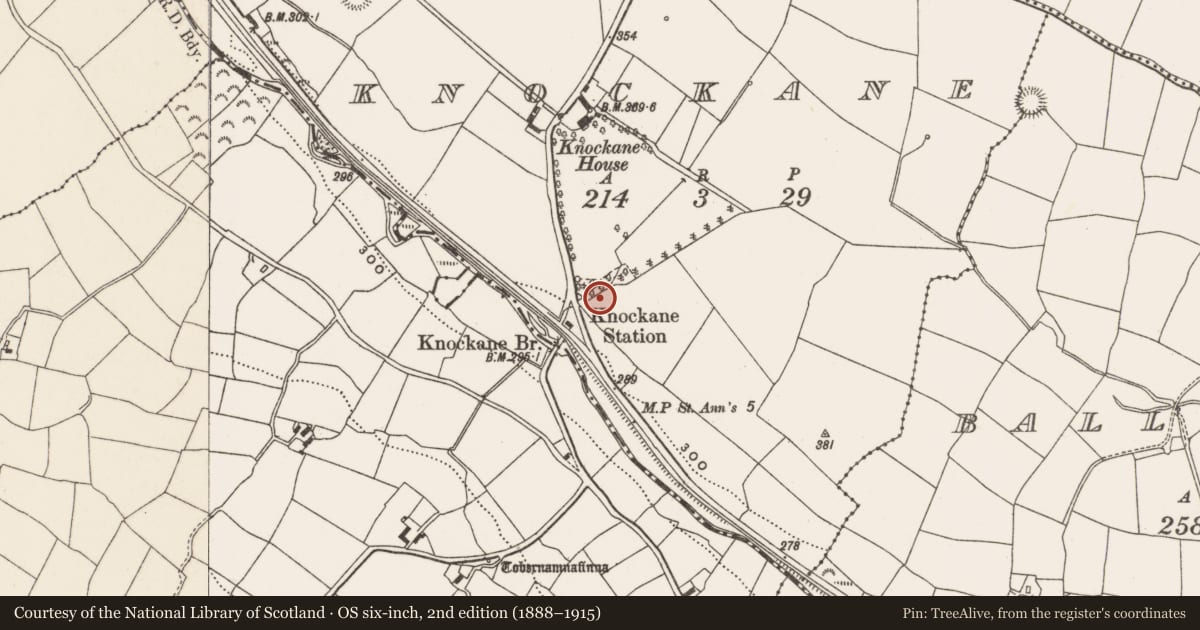 Ordnance Survey six-inch map, 2nd edition (1888–1915) covering the location of Fulacht fia, Knockane, County Cork, with a pin at the register's coordinates