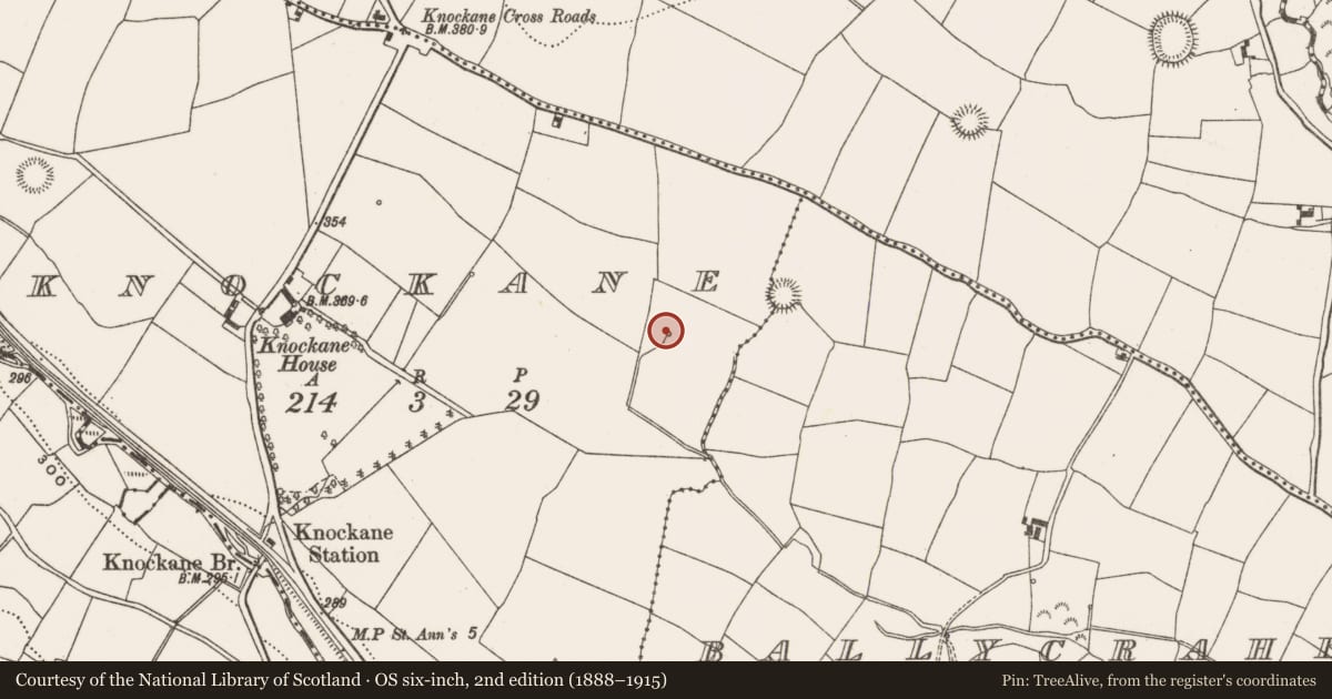 Ordnance Survey six-inch map, 2nd edition (1888–1915) covering the location of Fulacht fia, Knockane, County Cork, with a pin at the register's coordinates