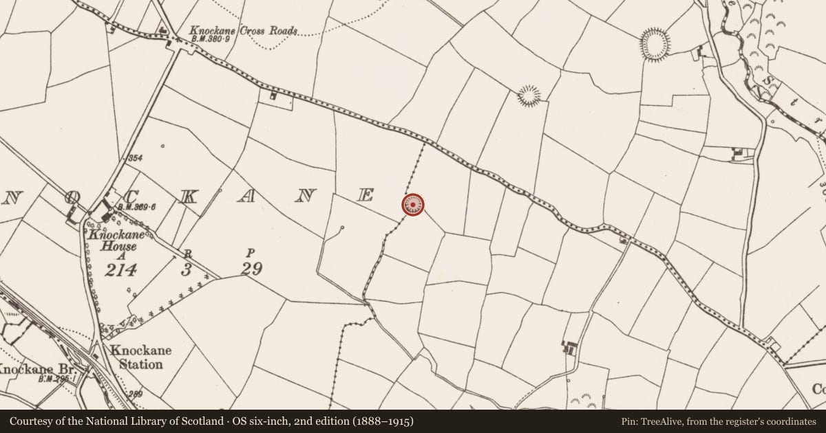 Ordnance Survey six-inch map, 2nd edition (1888–1915) covering the location of Ringfort - rath, Ballycraheen, County Cork, with a pin at the register's coordinates