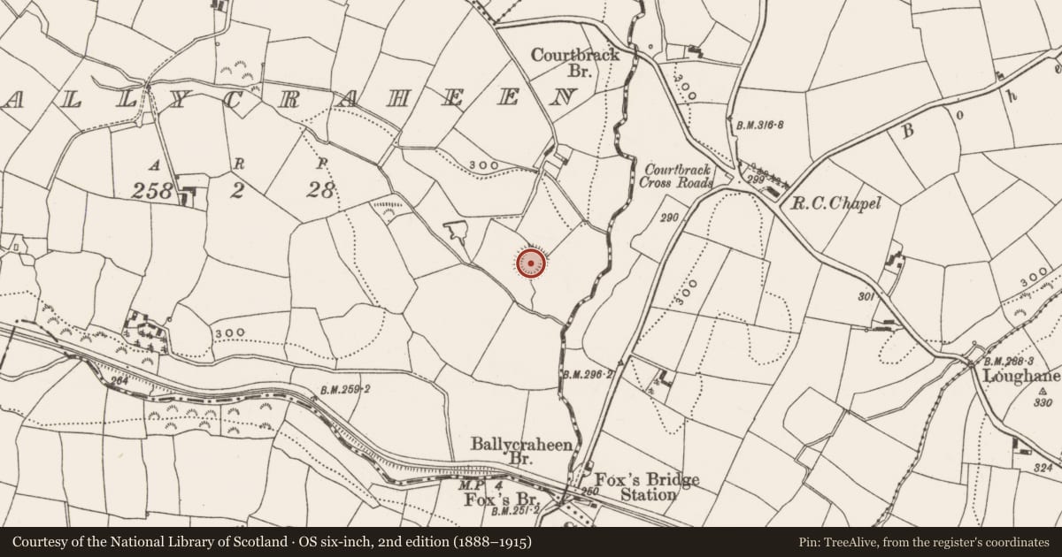 Ordnance Survey six-inch map, 2nd edition (1888–1915) covering the location of Ringfort - rath, Ballycraheen, County Cork, with a pin at the register's coordinates