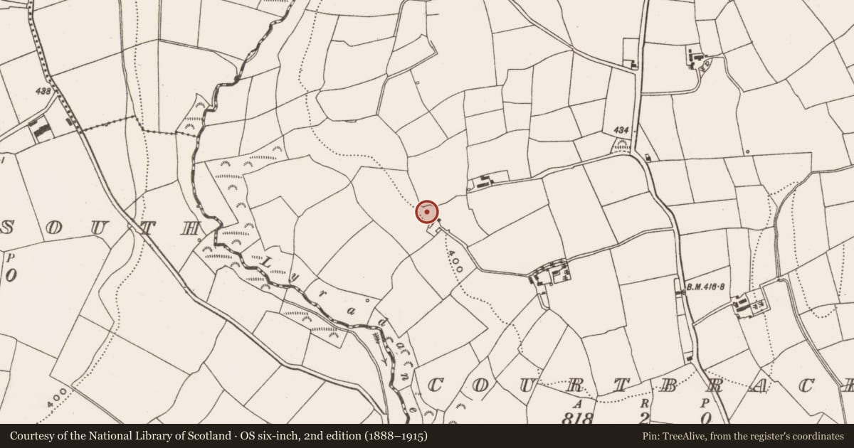 Ordnance Survey six-inch map, 2nd edition (1888–1915) covering the location of Ringfort - rath, Courtbrack, County Cork, with a pin at the register's coordinates