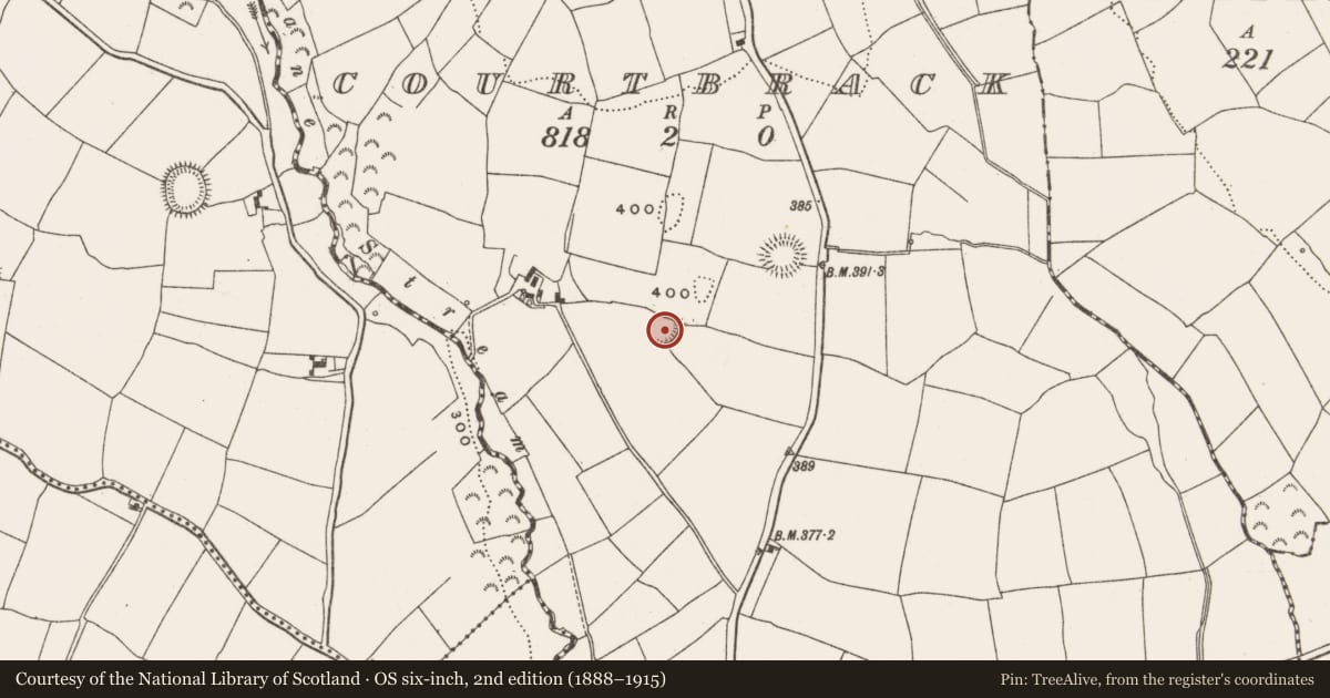Ordnance Survey six-inch map, 2nd edition (1888–1915) covering the location of Ringfort - rath, Courtbrack, County Cork, with a pin at the register's coordinates