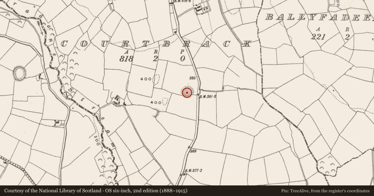 Ordnance Survey six-inch map, 2nd edition (1888–1915) covering the location of Ringfort - rath, Courtbrack, County Cork, with a pin at the register's coordinates
