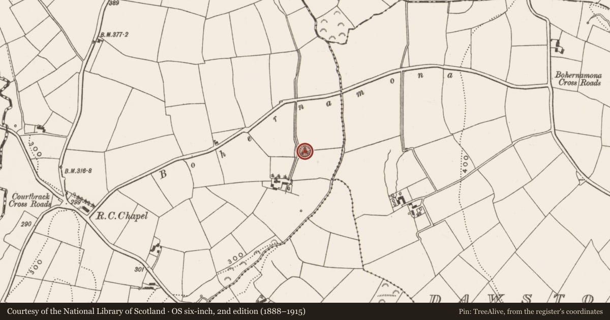 Ordnance Survey six-inch map, 2nd edition (1888–1915) covering the location of Ringfort - rath, Courtbrack, County Cork, with a pin at the register's coordinates