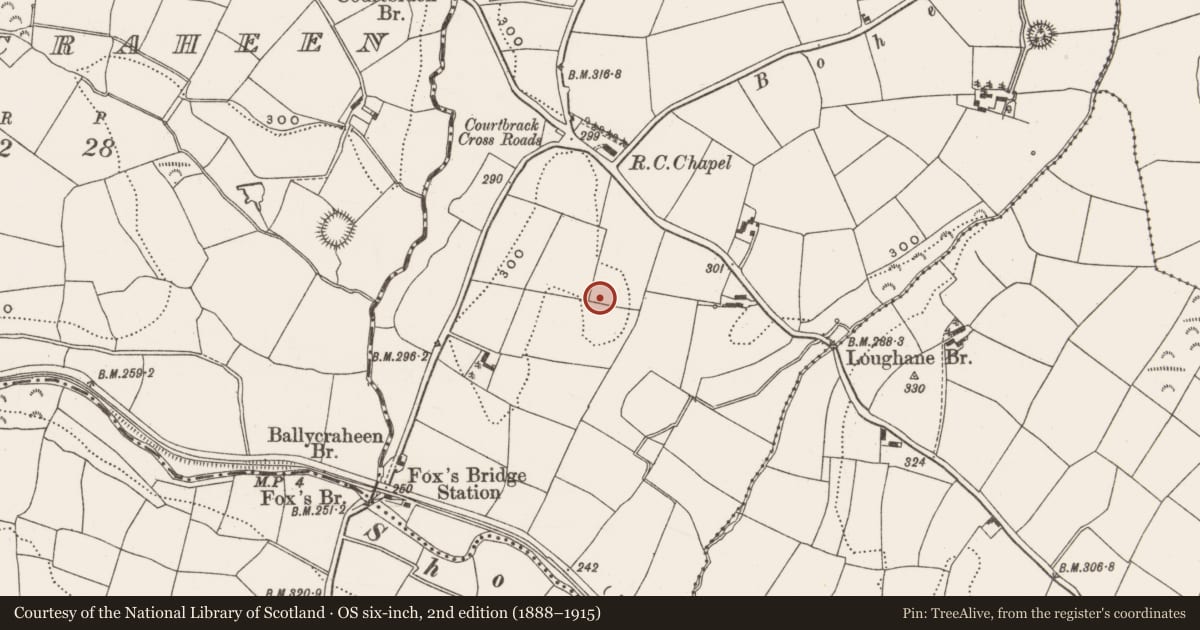 Ordnance Survey six-inch map, 2nd edition (1888–1915) covering the location of Standing stone, Courtbrack, County Cork, with a pin at the register's coordinates