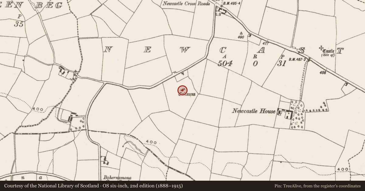 Ordnance Survey six-inch map, 2nd edition (1888–1915) covering the location of Standing stone - pair, Newcastle, County Cork, with a pin at the register's coordinates