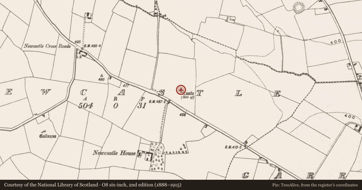 Ordnance Survey six-inch map, 2nd edition (1888–1915) covering the location of Castle - unclassified, Newcastle, County Cork, with a pin at the register's coordinates