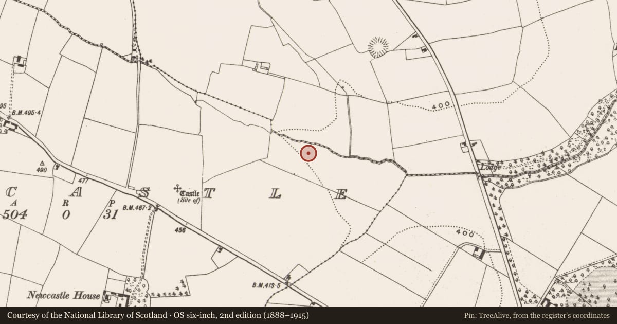 Ordnance Survey six-inch map, 2nd edition (1888–1915) covering the location of Fulacht fia, Newcastle, County Cork, with a pin at the register's coordinates