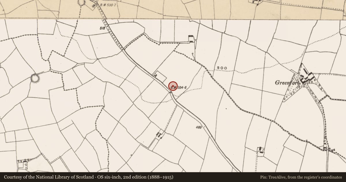 Ordnance Survey six-inch map, 2nd edition (1888–1915) covering the location of Ringfort - rath, Newcastle, County Cork, with a pin at the register's coordinates