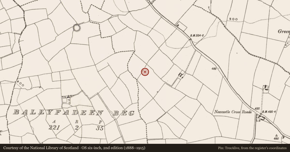 Ordnance Survey six-inch map, 2nd edition (1888–1915) covering the location of Fulacht fia, Newcastle, County Cork, with a pin at the register's coordinates